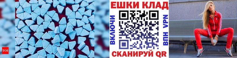 Купить закладки  Камешково  ЭКСТАЗИ таблы 