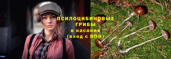 a pvp Горно-Алтайск